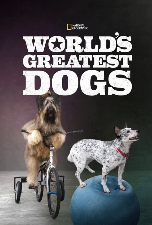 Where to stream World's Greatest Dogs