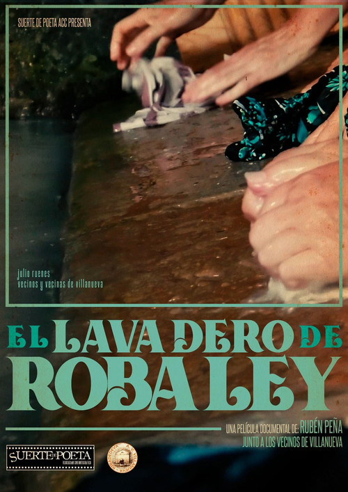 El lavadero de Robaley poster