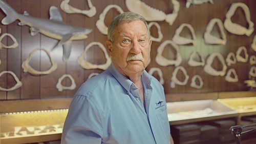 Shark Quest: Hunt For The Apex Predator