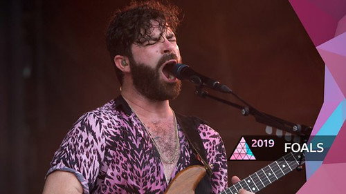 Foals