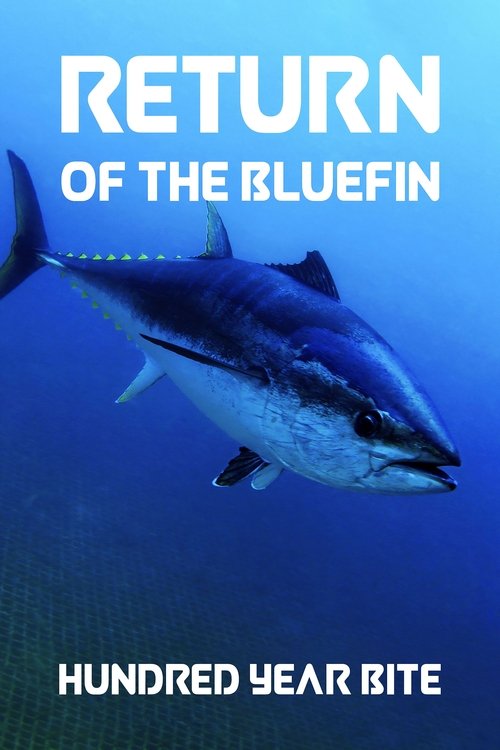 Return of the Bluefin: Hundred Year Bite