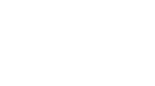 The Swindle