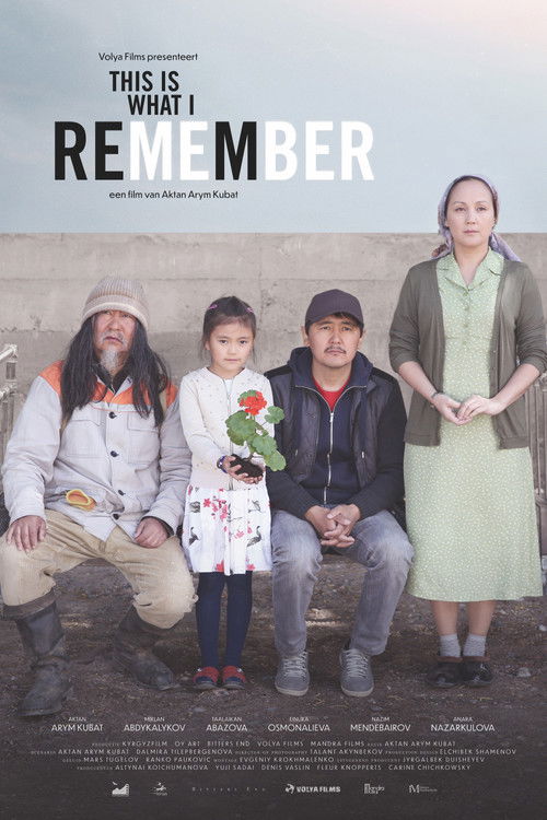 This Is What I Remember poster