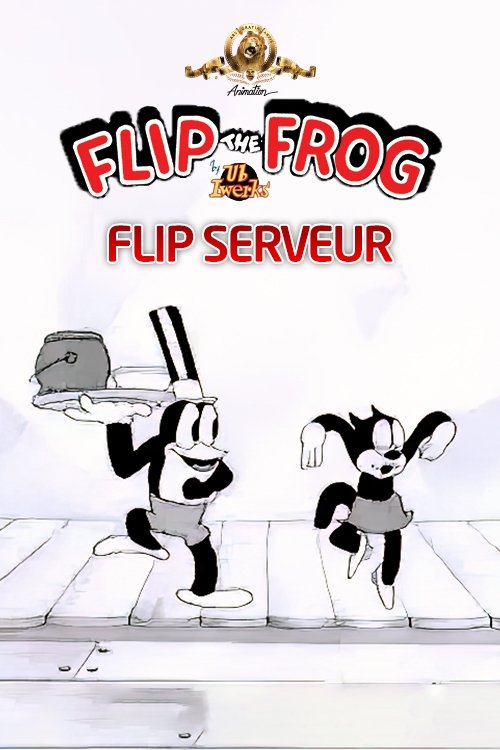 Poster of : Flip serveur