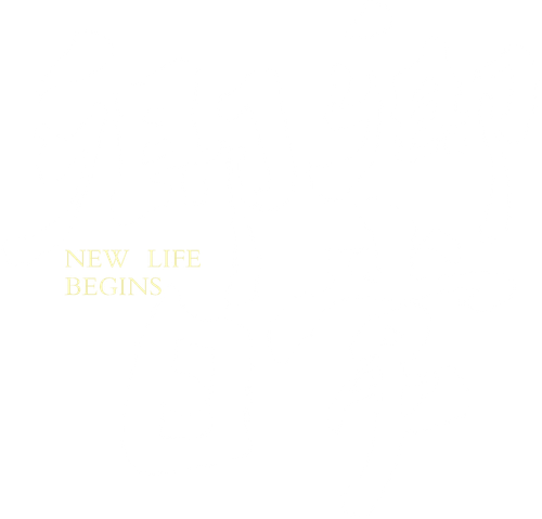 New Life Begins