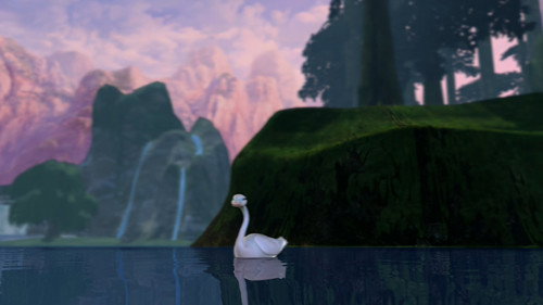 Image du film