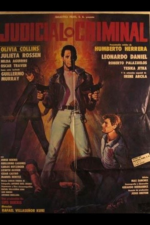 Judicial o criminal (1990) poster