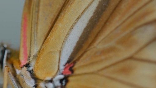 Image de l'épisode 6