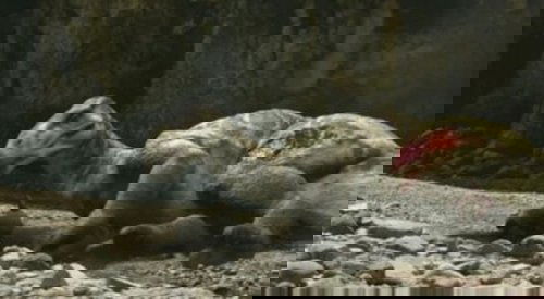 Image de l'épisode 2
