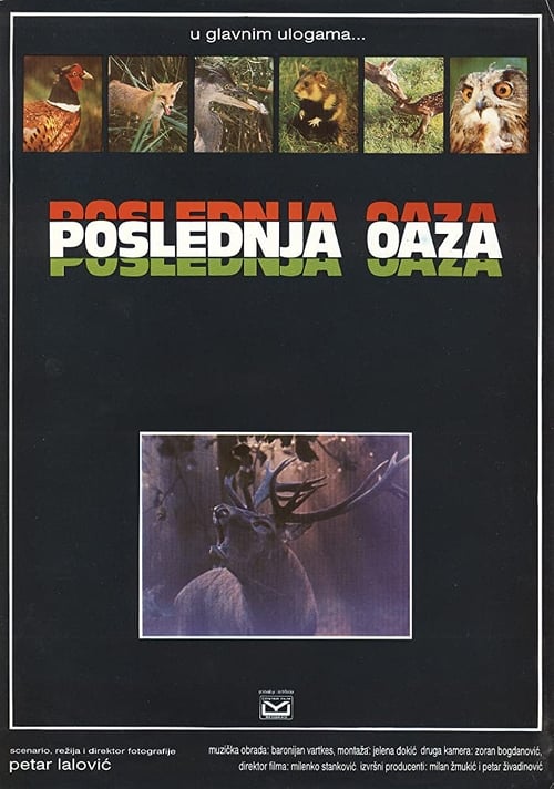 Poslednja oaza 1983