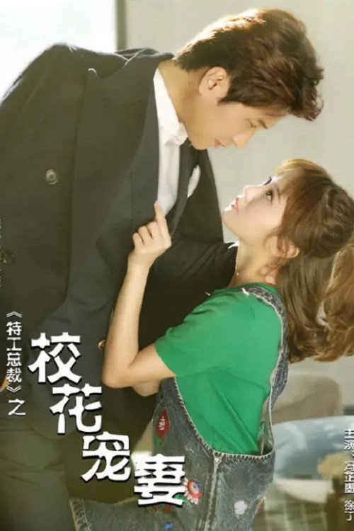 特工总裁校花宠妻 poster