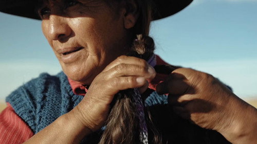 Mujer perseverante — Fondos 1