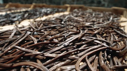 On va déguster : La vanille, l'or noir des saveurs