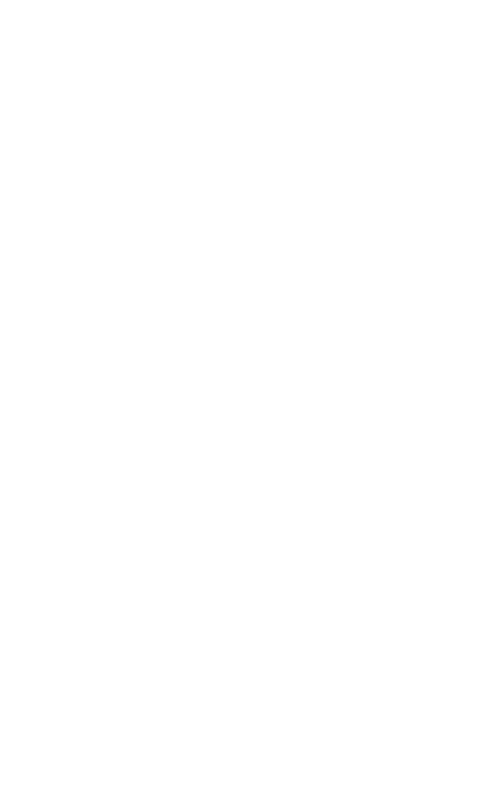 狂獸