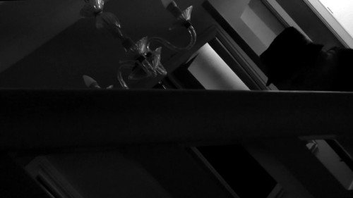 Static Visions Backdrop Blur