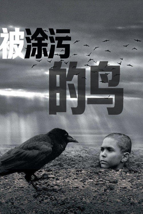 被涂污的鸟