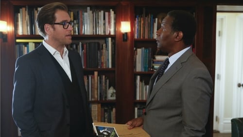 Bull: 1×5