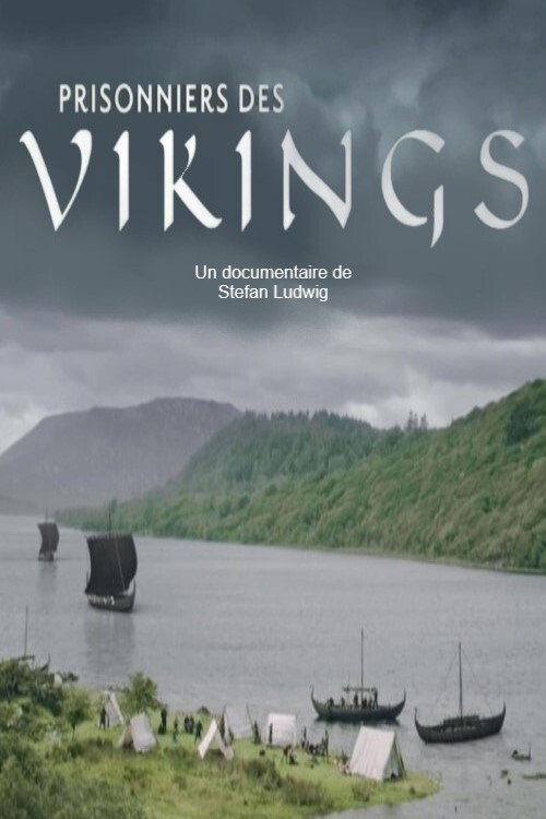 Victims of the Vikings poster