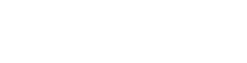 Meu Pé de Laranja Lima