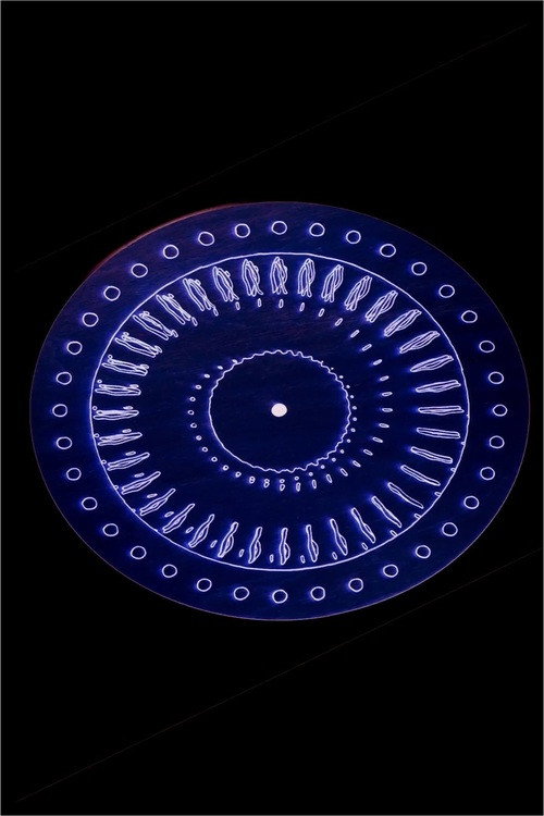 You Set out to Share a Big Idea and End up Talking about the Worms