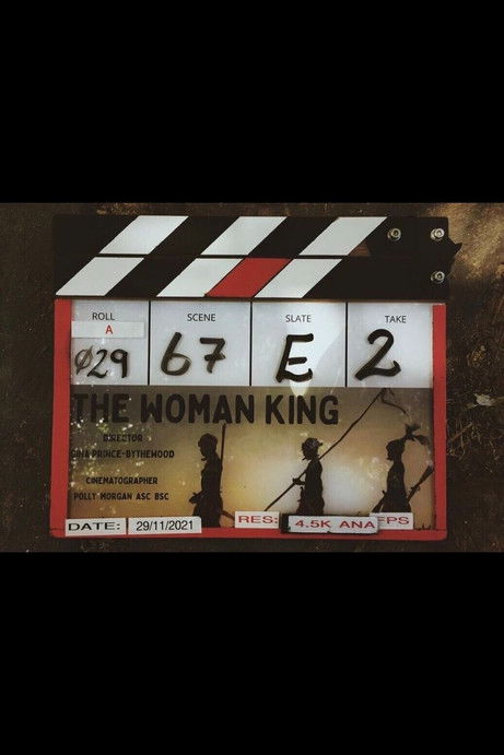 Watch The Woman King (2022) Free Movies Online & TV Shows - Watch Free