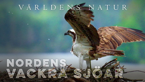 Nordens vackra sjöar Backdrop Blur