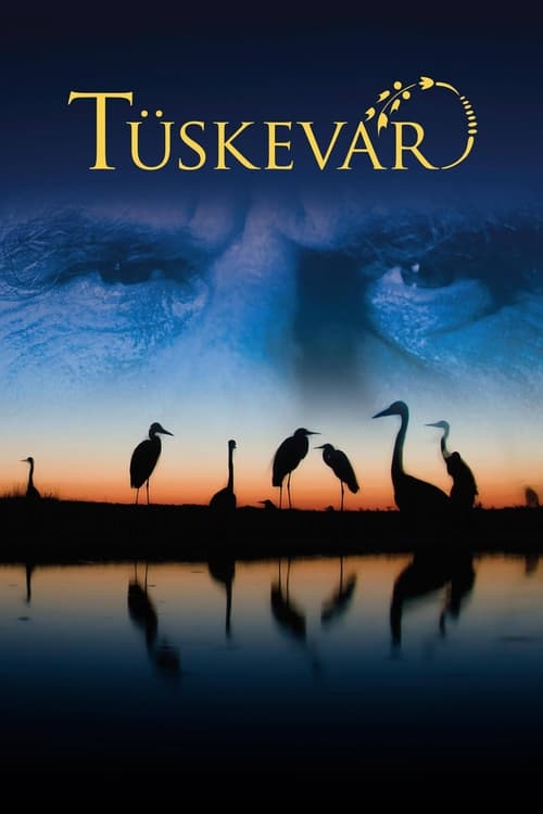 Tüskevár (2012) poster