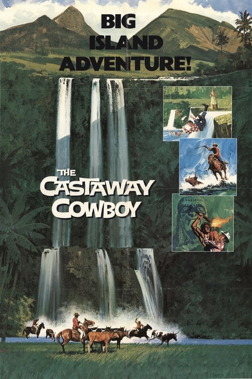 The Castaway Cowboy poster