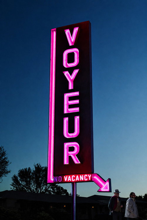 Voyeur