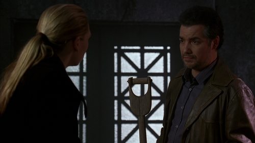 Poster della serie Fringe