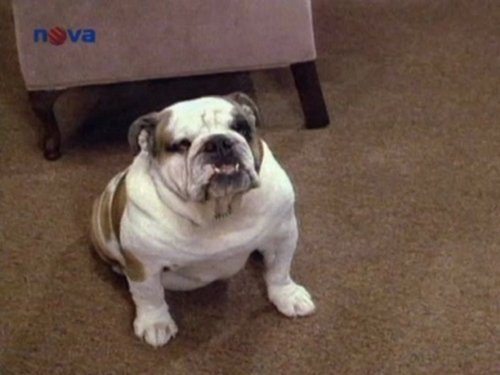 Image de l'épisode 4