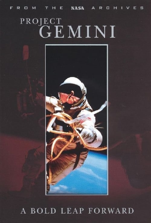 Project Gemini: A Bold Leap Forward (2002)
