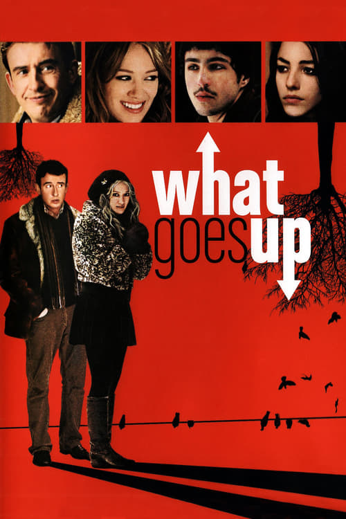 Grootschalige poster van What Goes Up