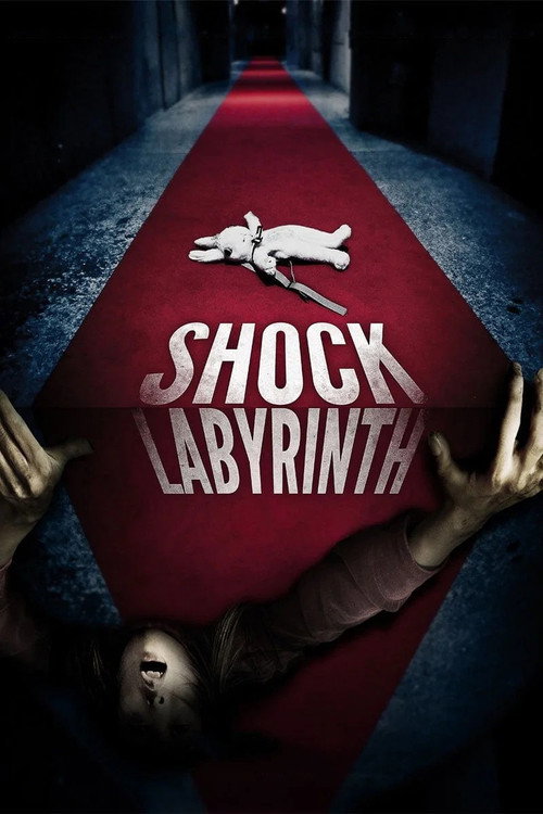 The Shock Labyrinth