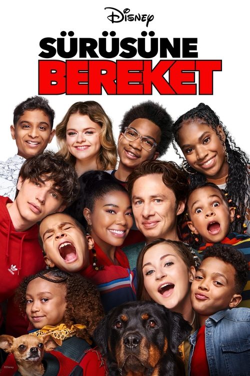 Sürüsüne Bereket ( Cheaper by the Dozen )