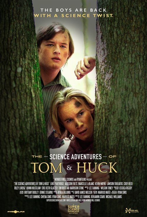 Poster 3