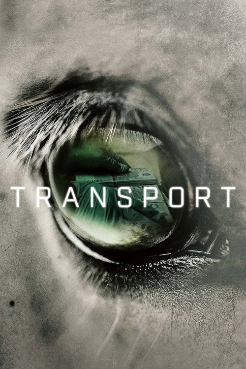 Affiche de Transport