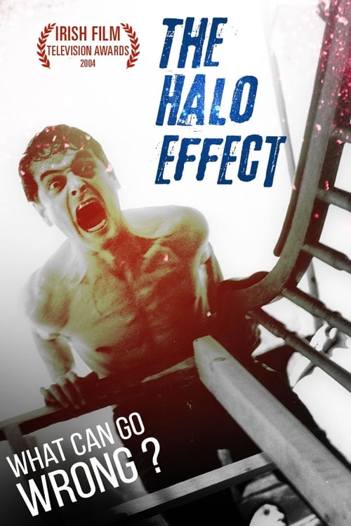 The Halo Effect 2004
