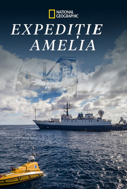 Expedition Amelia poster