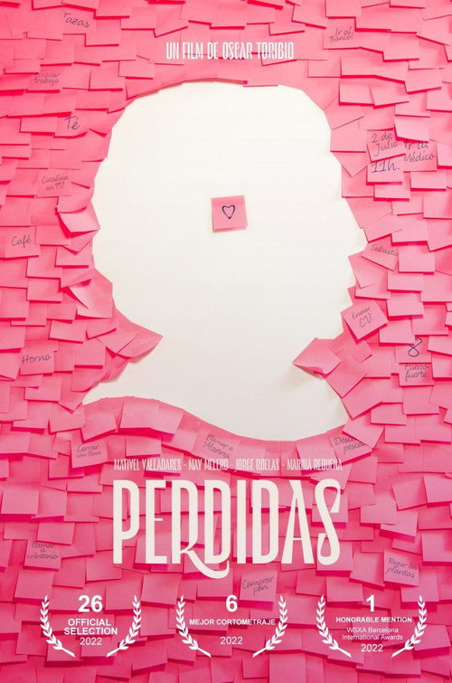Perdidas poster