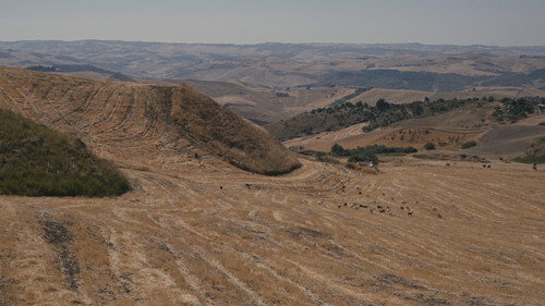 Back, Forth, Wherever