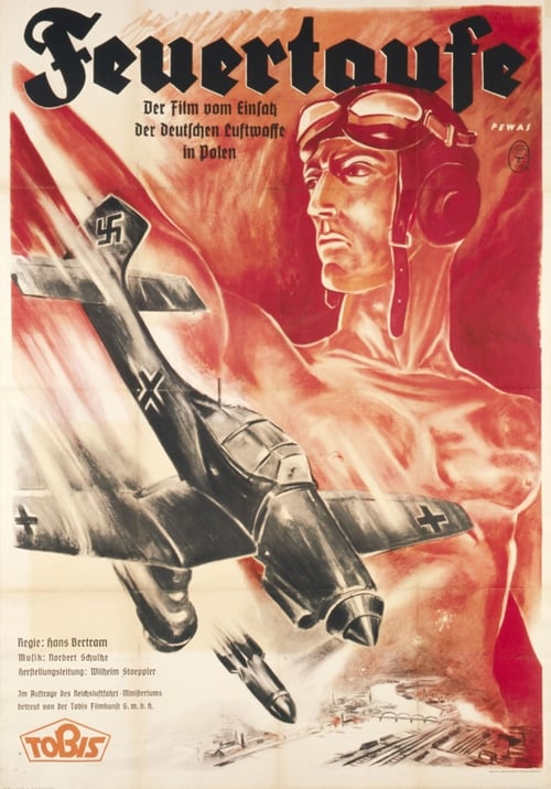Feuertaufe - Der Film vom Einsatz unserer Luftwaffe im polnischen Feldzug 1940