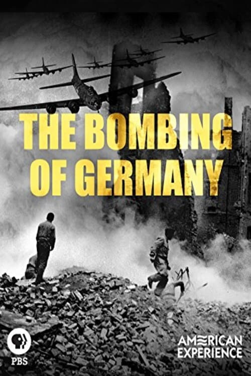 The Bombing of Germany (2013)
