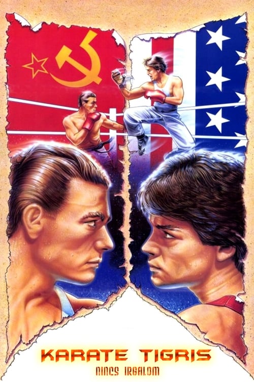 Karate tigris - Nincs irgalom 1986