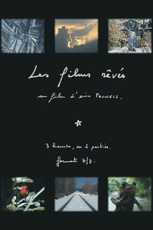 Poster Les films rêvés 2010