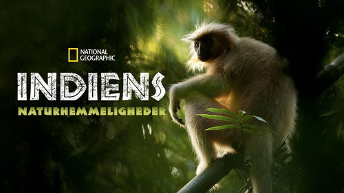 Secrets of Wild India