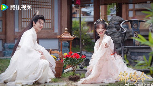 Beyond the Loop backdrop 2