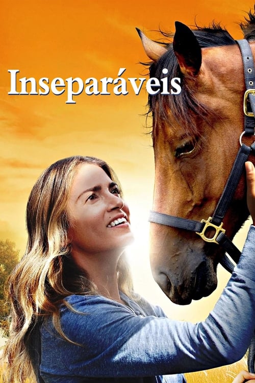 Poster do filme Inseparáveis