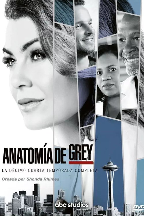 Póster de la temporada 14 de la serie Anatomía de Grey