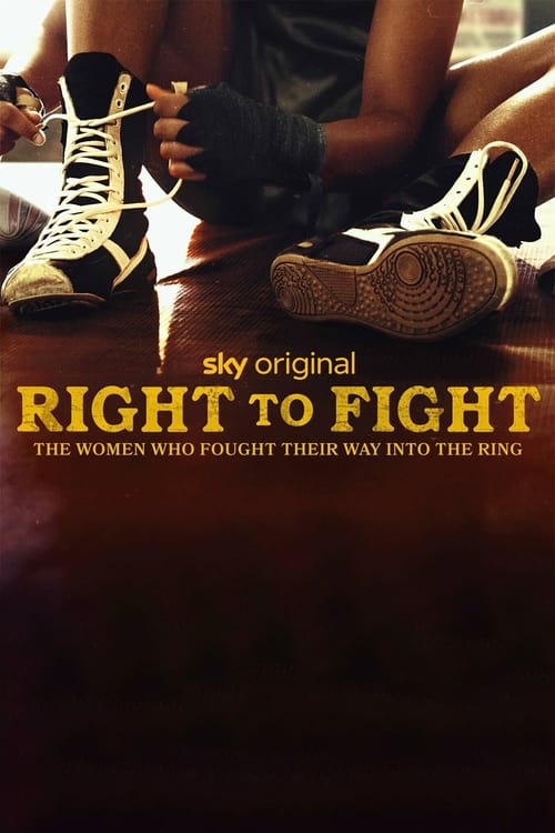 Poster Right to Fight 2023